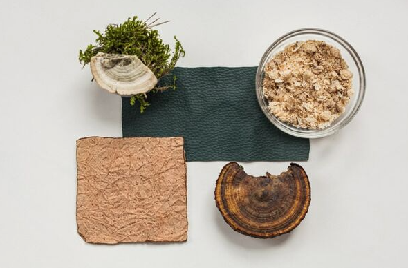 Woola、LivingPackets 和 Releaf Paper 入圍 LVMH 創(chuàng)新設(shè)計獎決賽